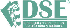 DSE logo